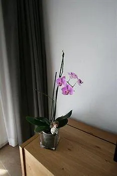 Haus Colosseo By Premium *