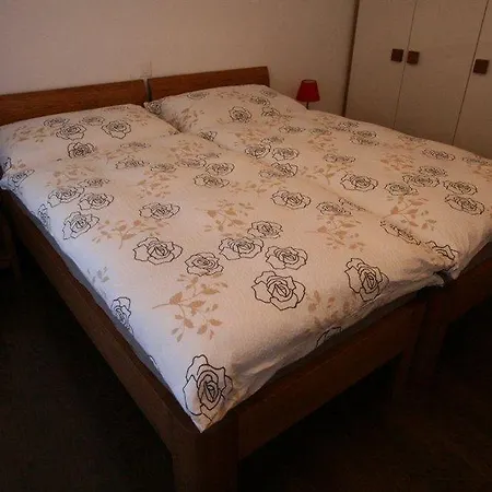 Haus Colosseo By Premium Апартаменти Церматт