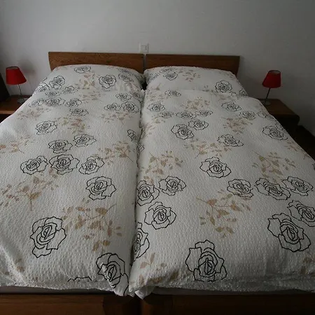 Apartament Haus Colosseo By Premium Zermatt